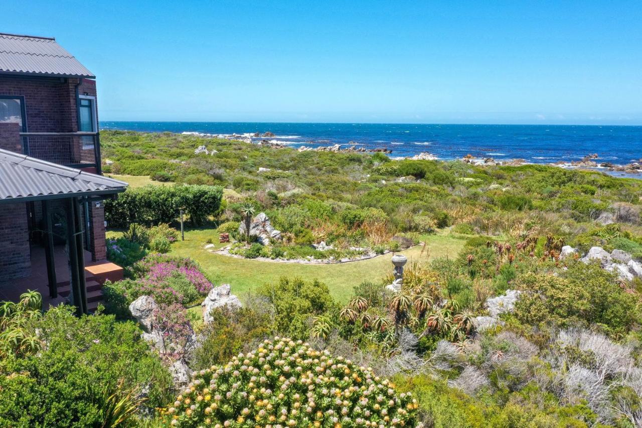 The Amaryllis Luxury Apartment Bella Donna Bettyʼs Bay Zewnętrze zdjęcie